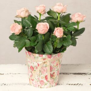 Pink Rose in Floral Pot